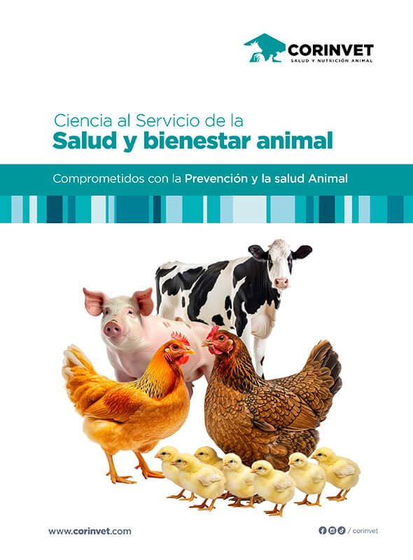 carátula-catalogo-corinvet